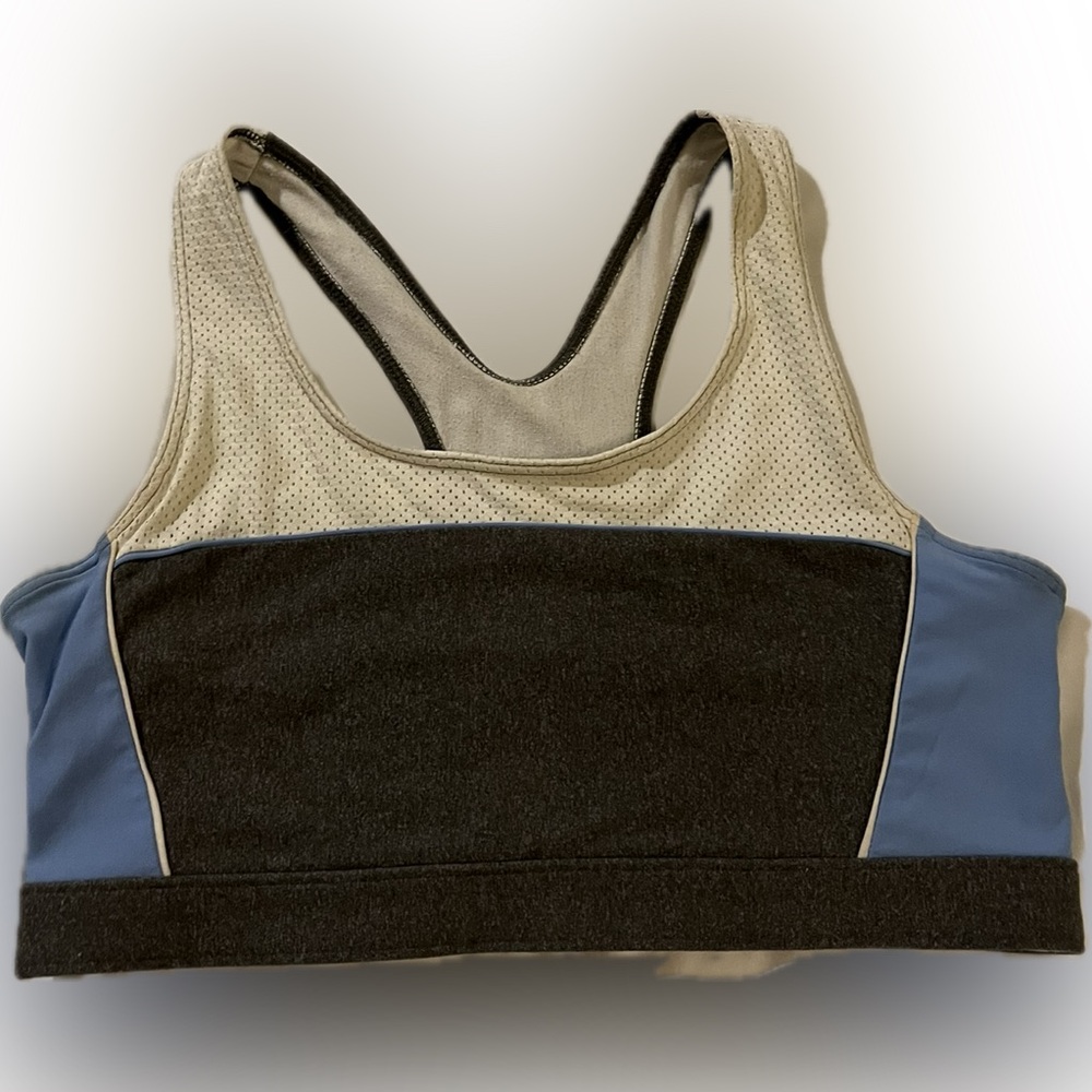 Champion Gray and Blue Sports Bra